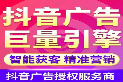 某电商平台的SEM广告投放策略及效果评估